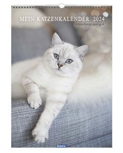 Mein Katzenkalender 2024