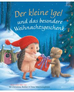 Der kleine Igel und das besondere Weihnachtsgeschenk