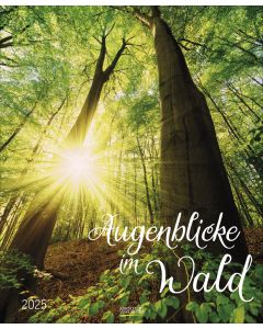 Augenblick im Wald 2025. Wandkalender groß.