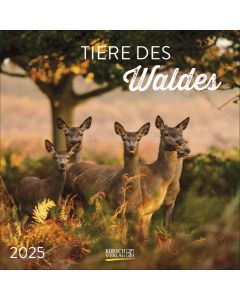 Tiere des Waldes 2025. Broschürenkalender.