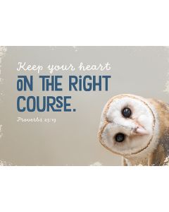 Postkarte 'Keep your heart on the right course. Proverbs 23:19' 1EX