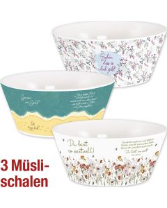 Paket 'Müslischalen konisch breit' 3 Ex.