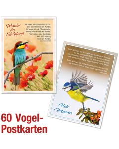 Paket 'Vogel-Postkarten' 60 Ex.