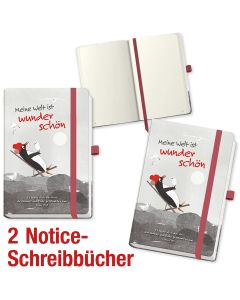 Paket 'Notice-Schreibbücher' 2 Ex.