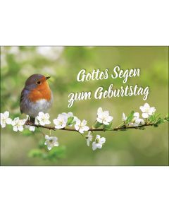 Postkarte 'Gottes Segen zum Geburtstag' 12 Ex.