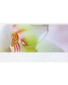 Creative-Card 'Orchidee' - Postkarte