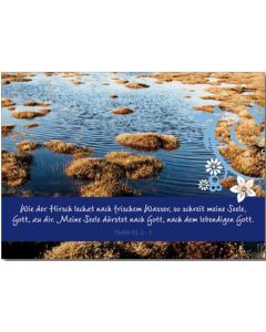 Mutmacher-Postkarte 'Frisches Wasser'