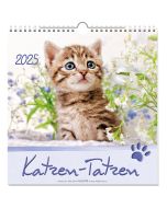 Katzen-Tatzen 2025