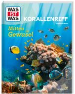 Korallenriff. Mitten im Gewusel.